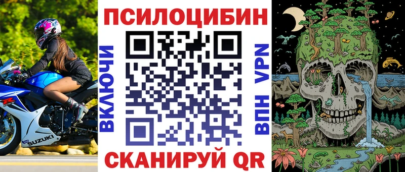 наркошоп  Балей  Галлюциногенные грибы MAGIC MUSHROOMS 